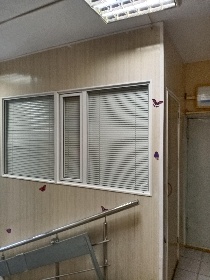 . ,  12