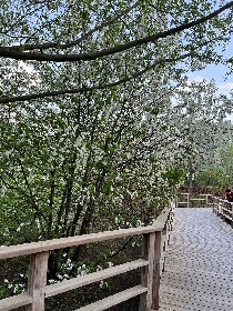 �����������, ������� �������, ����� ��������, �.2 �.6 