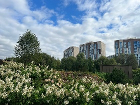 �����������, ������� �������, ����� ��������, �.2 �.6 