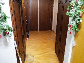 ����� ������, ����� ���� ��������, �.77 �.3 